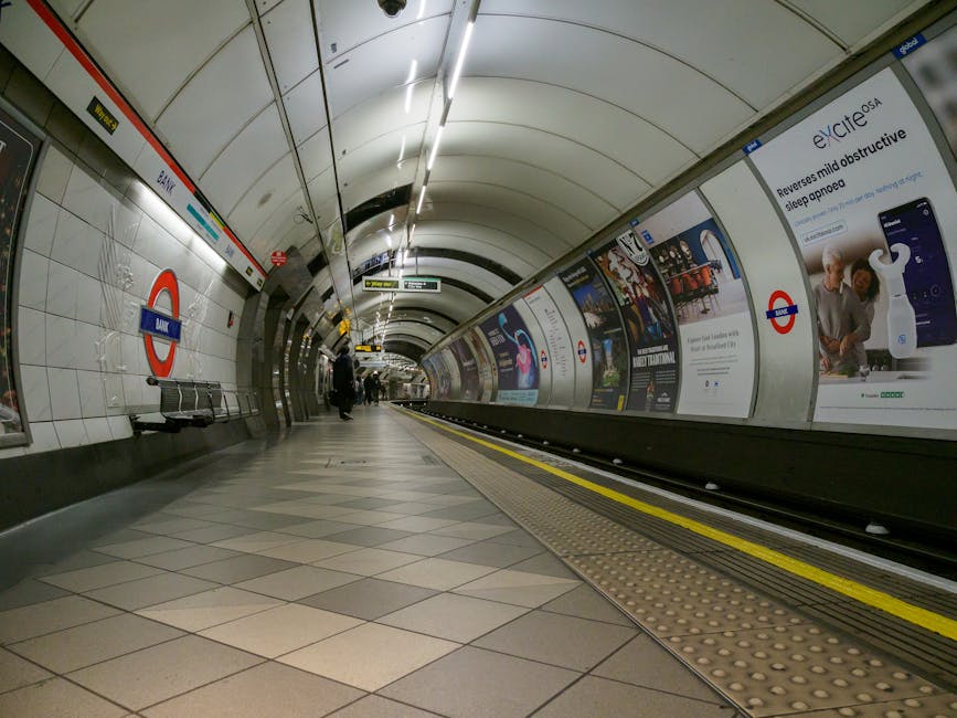 Skip free rubbish removal near Pimlico Underground Station